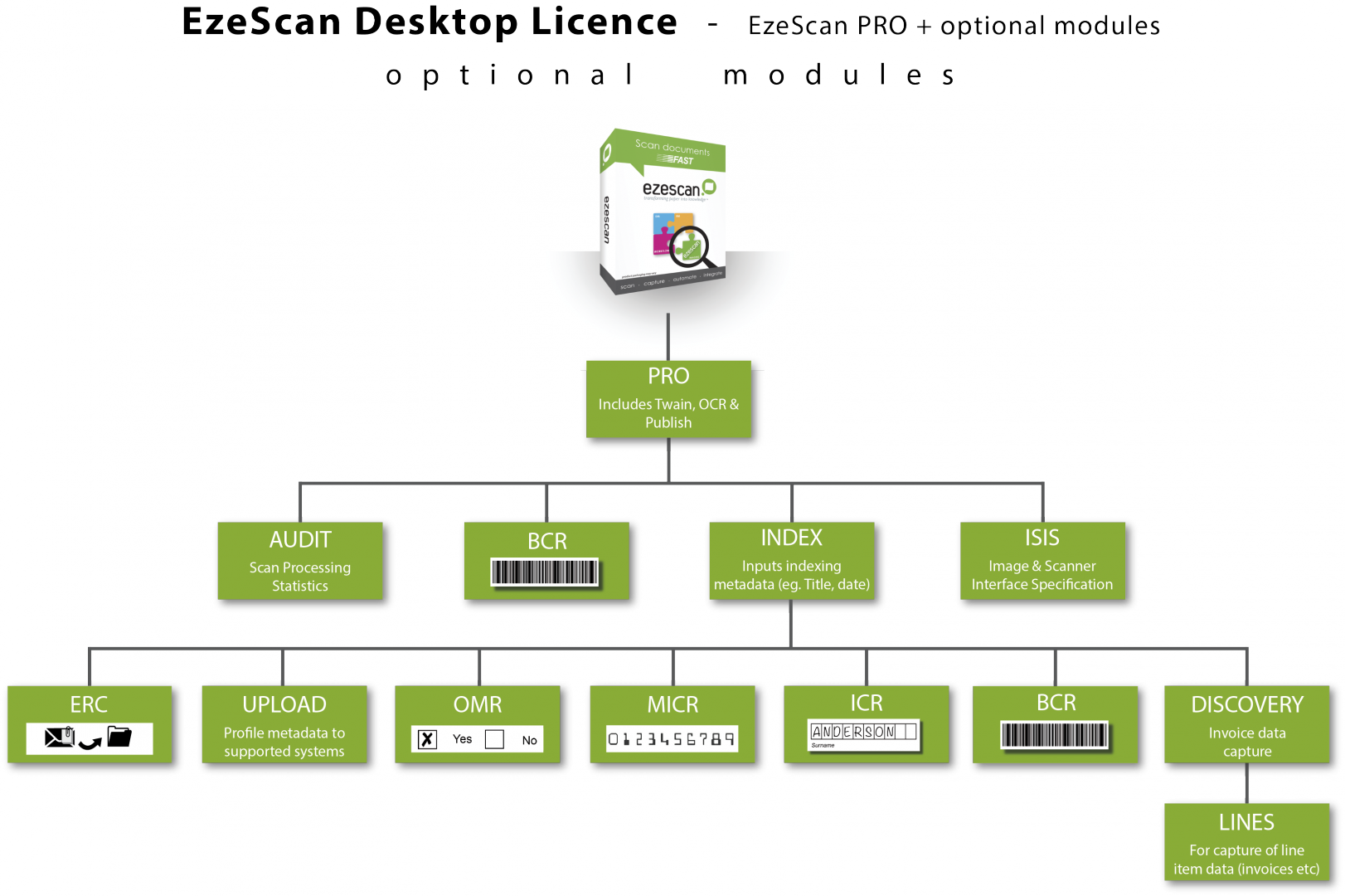 Module Diagram for Website.png